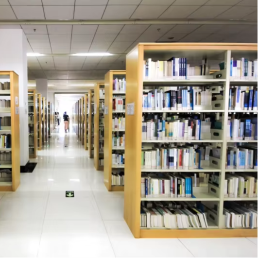 Rak Buku Dua Sisi Langsung dar - Home Office Library ulasan dan harga